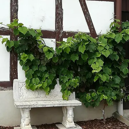 Bine Ferienhaus